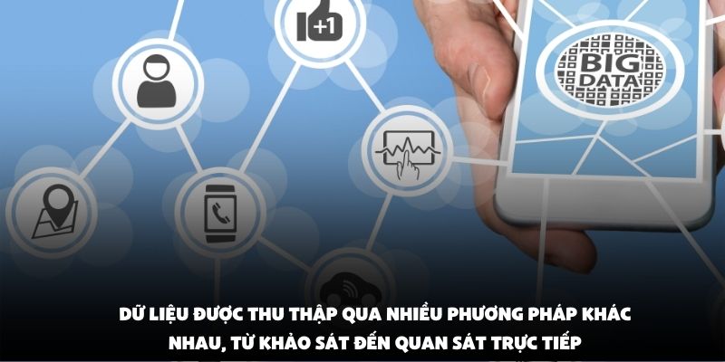 Dữ liệu được thu thập qua nhiều phương pháp khác nhau, từ khảo sát đến quan sát trực tiếp